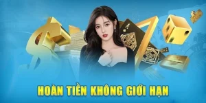 Chính sách hoàn trả